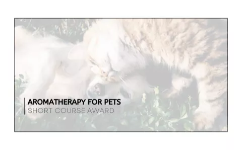 Short Course - Aromatherapy for Pets - Australian College of Aromatherapy