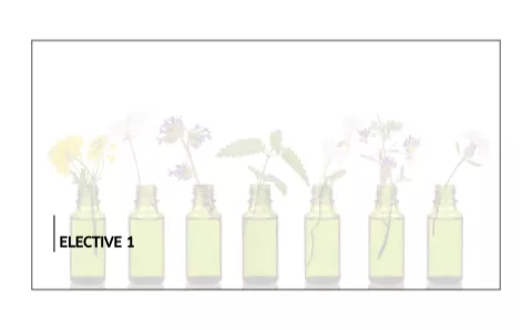 Elective 1 - Qualification Bundle - Australian College of Aromatherapy