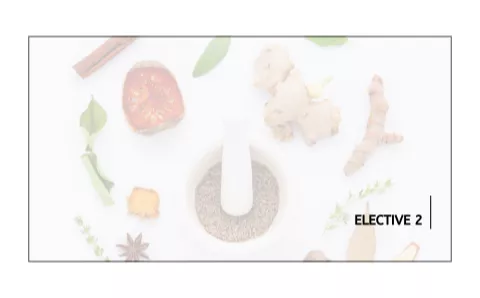 Elective 2 - Qualification Bundle - Australian College of Aromatherapy