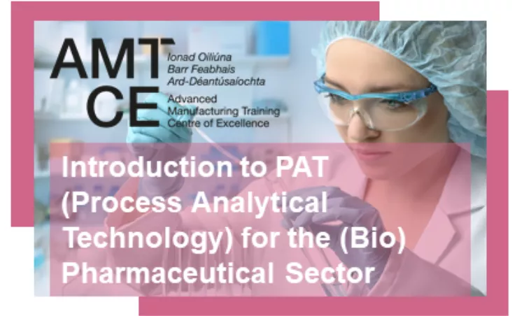 Pat Introduction Example Introduction to PAT (Process Analytical Technology) for the (Bio ...
