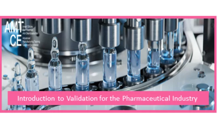 Introduction To Validation For The Pharmaceutical Industry Advanced