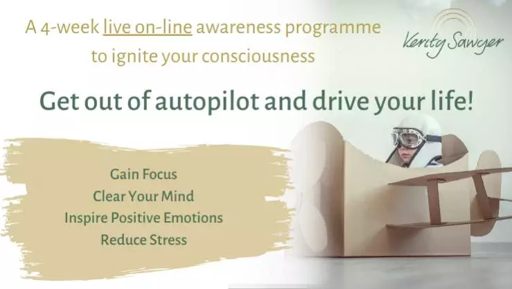 Get Out Of Autopilot And Drive Your Life - BITA