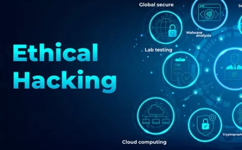 Learn Ethical Hacking From Scratch - Saas Demo