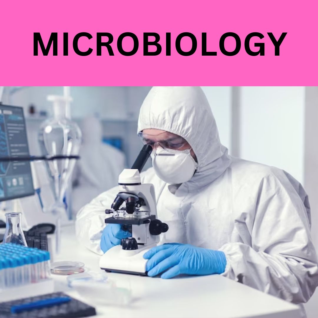 Microbiology course