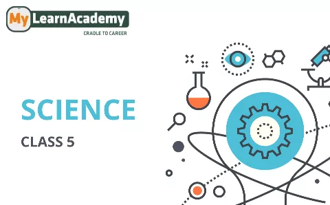 Class 5th Science - My Learn Academy