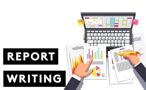 Report Writing - M1 Drogheda Skillnet