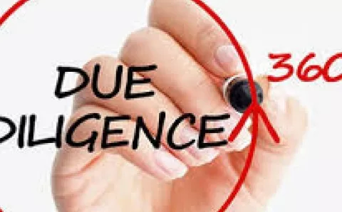 Common Observations in Due Diligence  - Course